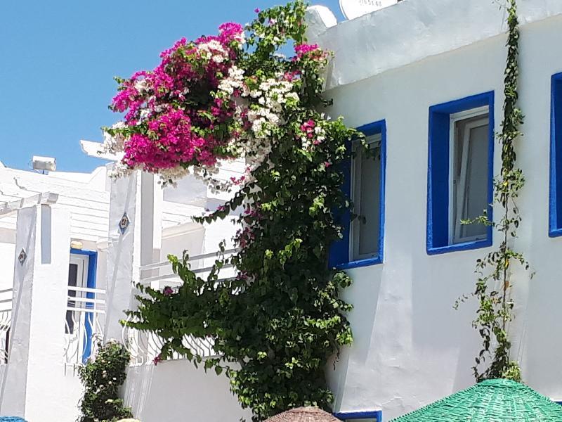 Paradise Apart Hotel Bitez Dış mekan fotoğraf